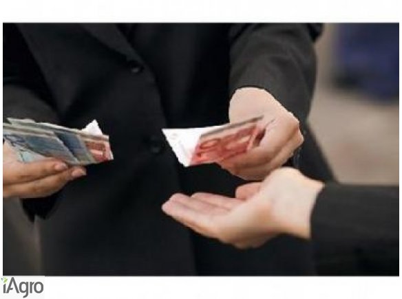 Oferują pożyczki pomiędzy poszczególnymi poważne