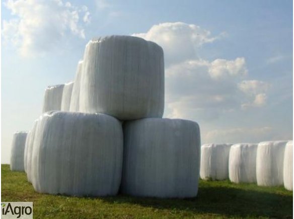  sianokiszonka z młodych traw /koniczyna+tymotka łąkowa/