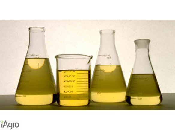 Olej rzepakowy 30 ppm