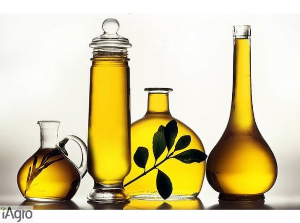 Sprzedam OLEJ TECHNICZNY RZEPAKOWY 60-500PPM!!!!!!!!TANIO BEZPOSREDNIO!!