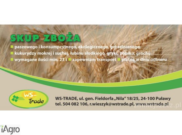 Kupię zboża na gorzelnię 