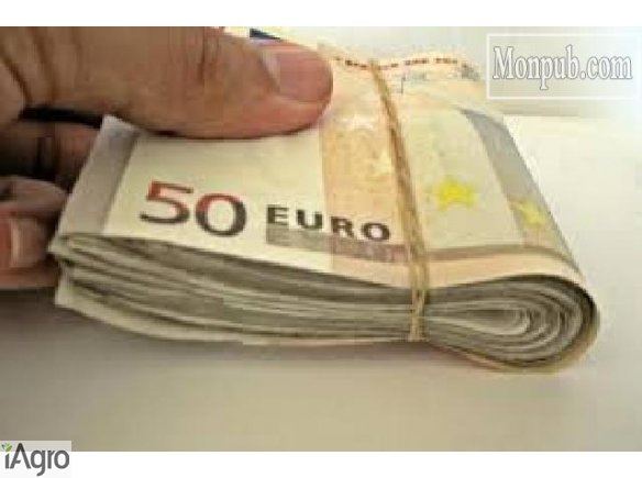 Oferują pożyczki pomiędzy poszczególnymi poważne i uczciwe