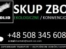SKUP ZBOŻA EKOLOGICZNEGO