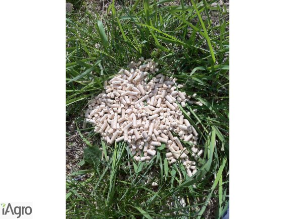 Jasny pellet Premium Klasy