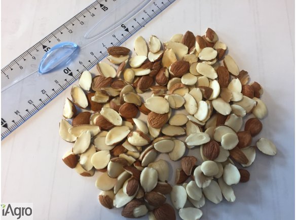 Pestki Moreli Goszkiej (Połowki)