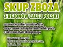 Kupię owies- skup owsa