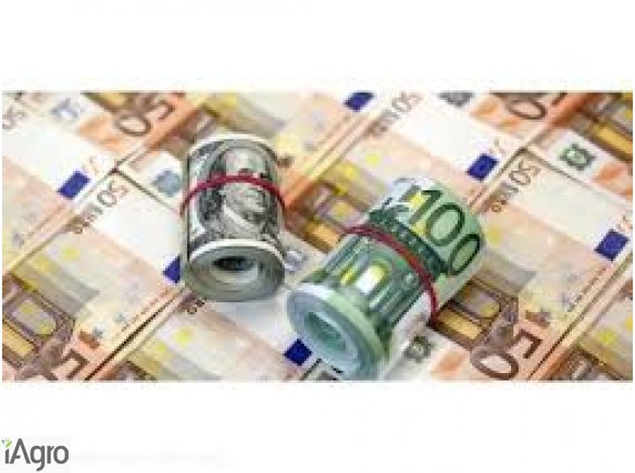  oferują pożyczki pomiędzy poszczególnymi poważne