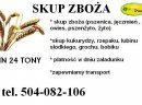 Kupię soję - skup soi