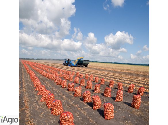  Ukraina. Warzywa, ziemniaki 0,25 zl/kg. Grunty rolne 150 zl/ha. Oferujemy na sprzedaz, wynajem opuszczony kompleks 5 budynkow po bylej krochmalnie. Spoldzielnia ogrodnicza, zaklad przetworstwa skrobi ziemniaczanej na terenie 2ha. Z mozliwoscia dokupienia