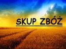 Skup zbóż. płatne przy załadunku