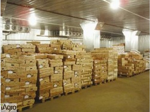 Ukraina. Import-eksport miesa swiezego i mrozonego. Handel wyrobami przemyslu drobiarsko-jajczarskiego. Chlodnia zakupie filety z kurczaka, mieso wieprzowe w poltuszach, elementach, pakowane oraz luzem. Ceny do uzgodnienia, negocjacji. Handel wyrobami pr