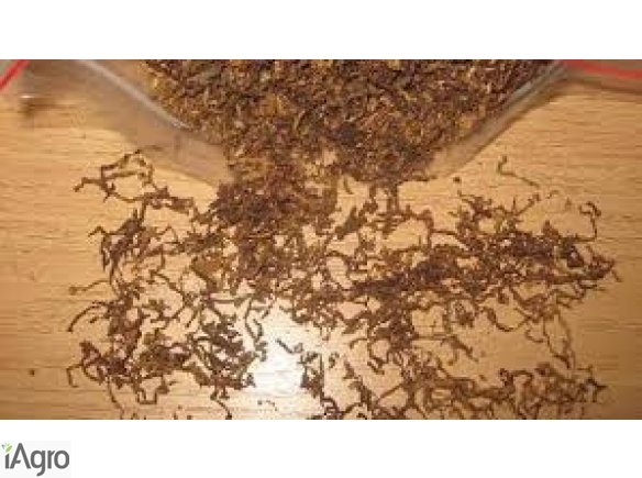 Doskonała jakość tytoniu 75 zł