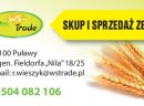 Kupię pszenicę- skup pszenicy