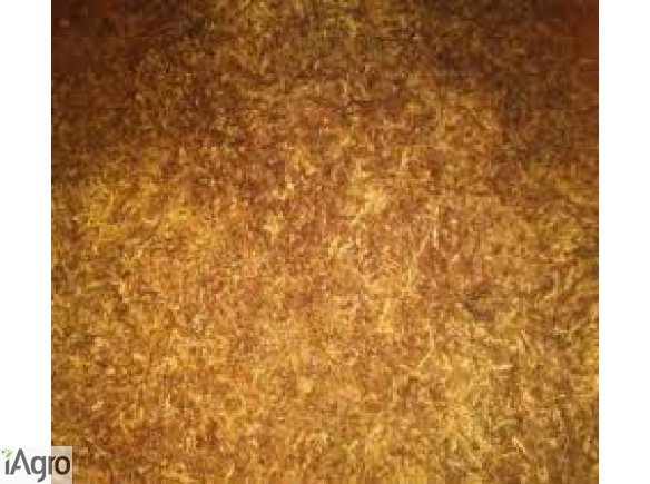 Mieszanki tytoniowe doskonałej jakości 75 zł!