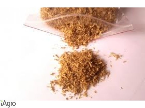 Mieszanki tytoniowe doskonałej jakości 75 zł!