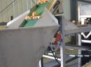 Maszyna do obierania cebuli na biało PMK P100 - zdjęcie 1