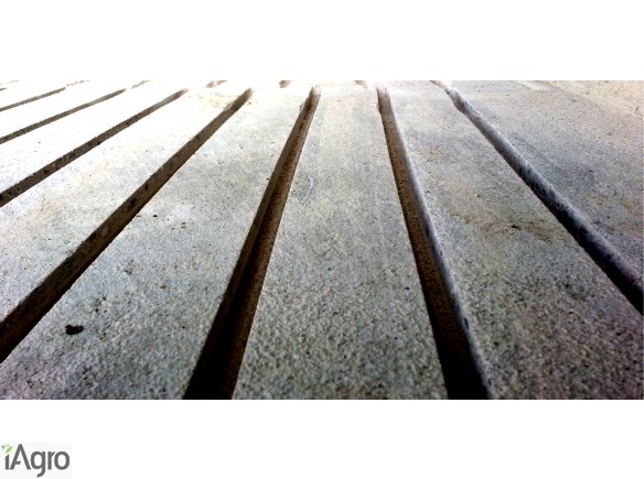 Nacinanie, frezowanie posadzek (betonu, obora)