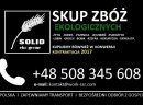 SKUP ZBÓŻ EKOLOGICZNYCH