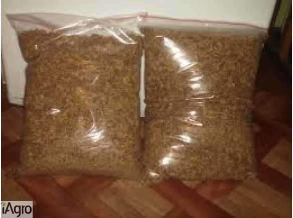 Doskonałej jakości tytoń! 75 zł