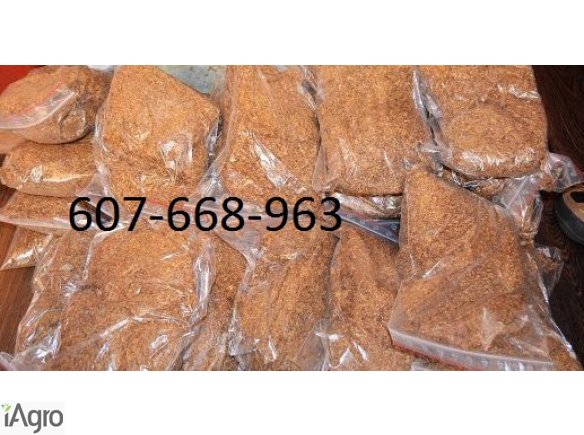 Tytoń! szybka dostawa 70 zł