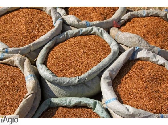 Dobrej jakości tytoń 70zł