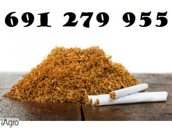 Tytoń korsarz 65 złz a 1kg tytoń virginia gold 65 zł za 1kg tytoń burley 65 zł za 1kg 691.279.955