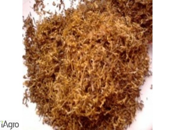 Tytoń! dobra cena-szybka dostawa! 75 zł!