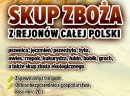 Kupię zboża ekologiczne