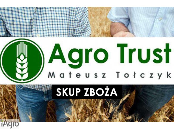 Rzepak 2017! 1510zł + Vat na gospodarstwie!