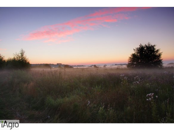  Ukraina. Nawozy organiczne, torfowe od 40 zl/tona. Zaklad przerabiania torfu na sprzedaz, wynajem. Czernihowski obw. Wieloskladnikowe nawozy mineralne. Torfowiska wysokie, przejsciowe, niskie. Unikalne obszary przyrodnicze pieknie polozone w lasie blisko