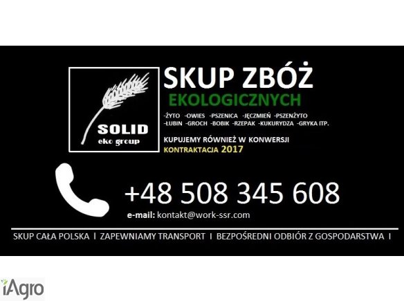 SKUP ZBÓŻ EKOLOGICZNYCH