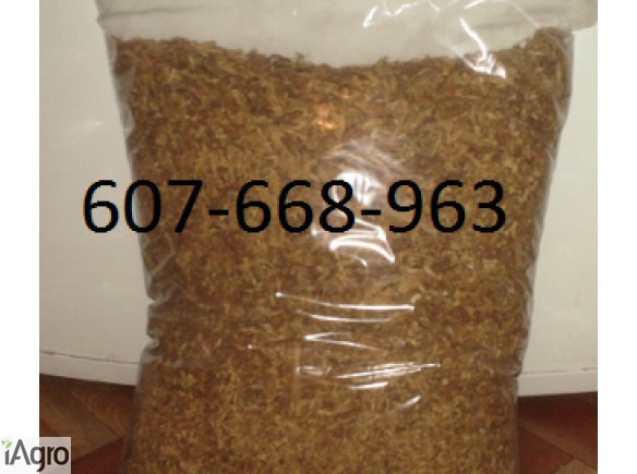 Tytoń-najlepsza jakość! 70 zł!