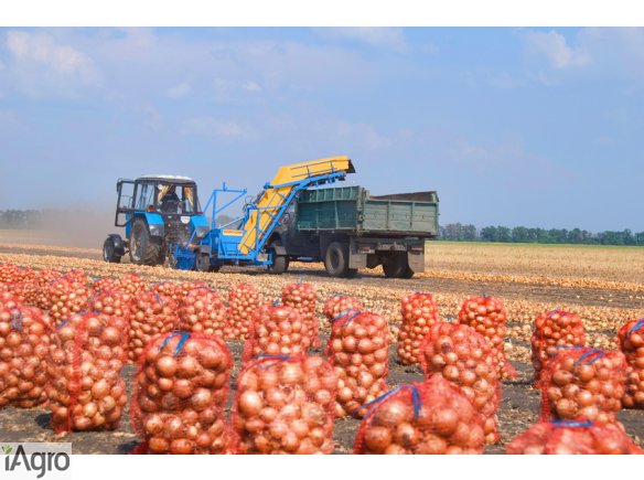  Ukraina. Warzywa, kapusta biala, czerwona, kwaszona. Ziemniaki 0,20 zl/kg. Grunty rolne 150 zl/ha. Oferujemy na sprzedaz, wynajem opuszczony kompleks 5 budynkow po bylej krochmalnie. Spoldzielnia ogrodnicza, zaklad przetworstwa skrobi ziemniaczanej na te