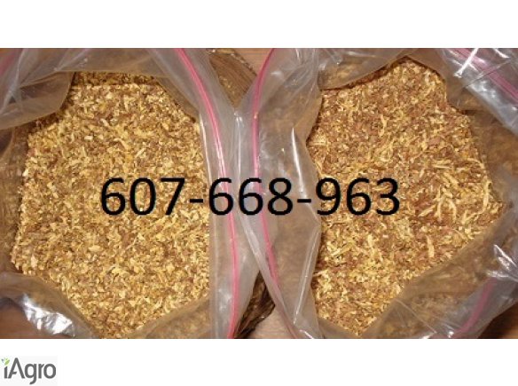 Tytoń-najlepsza jakość! 70 zł!