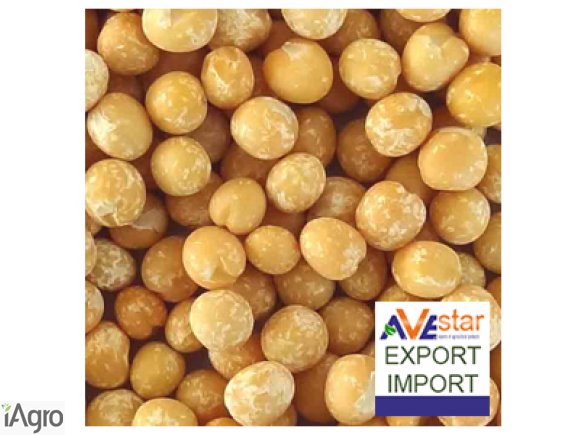 We Sell Yellow peas whole