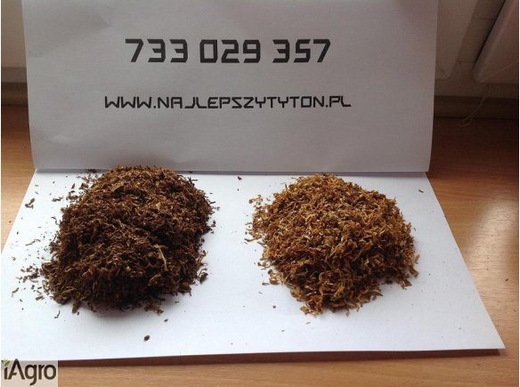 Niewiarygodna Jakość Tytoniu Wreszcie Za Niską Cene! Tytoń Idealny Tyton