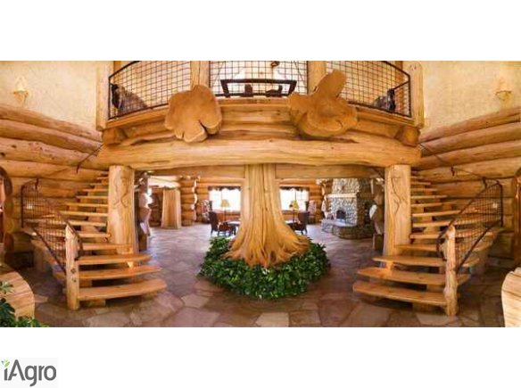  Ukraina. Drewno kominkowe od 15 zl/m3, sadzonki, choinki 10 zl. Gospodarstwo lesne oferuje drwa do kominkow, drzewka doniczkowe, choinki sosnowe. Duzy wybor choinek cietych. Ustrojone drzewko sosny, jodly 2m od 10zl. Pachnaca zielona choinka z plantacji.