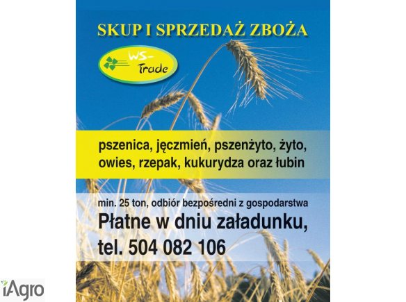 Kupię ekologiczny owies 