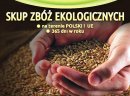 Kupię zboża ekologiczne - zdjęcie 1
