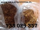 Tytoń bezkonkurencyjny na rynku tabaka machorka 85zl/kg idealny tyton