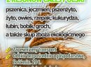 Kupię ekologiczne zboża 