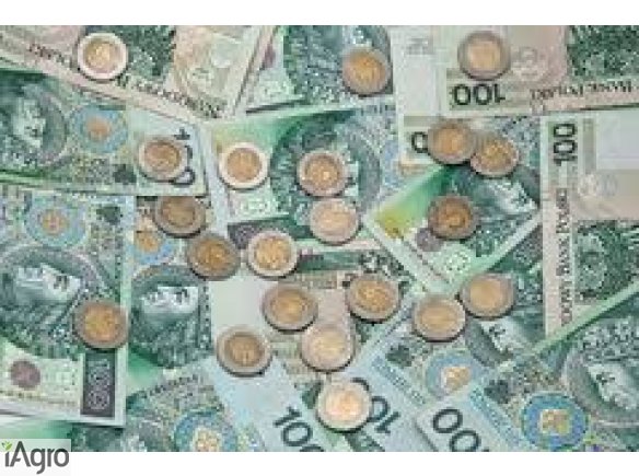 Finansowanie miedzy uczciwa i powazna osoba w ciagu 72 godzin