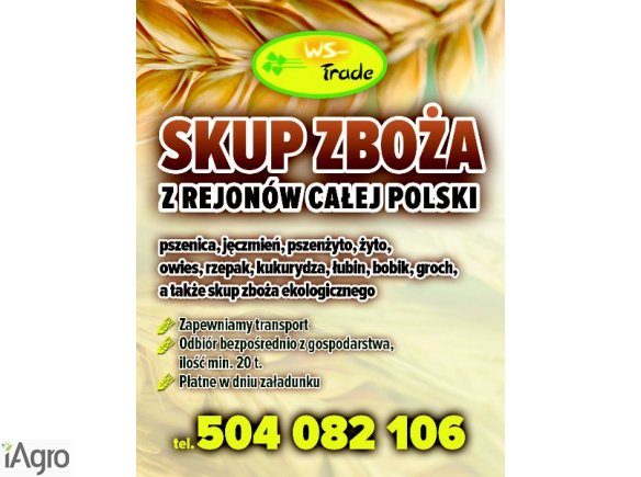 Kupię bobik- skup bobiku