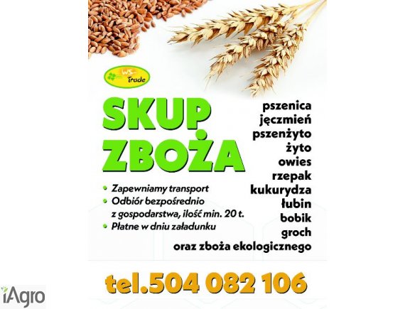 Kupię bobik- skup bobiku