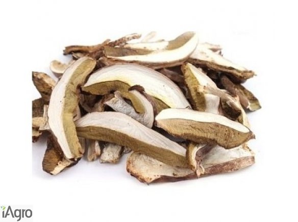 Sprzedam susone gryby