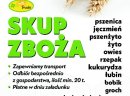 Kupię żyto - skup żyta