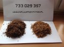 Hit tytoń w cenie 85 zl/kg nie czekaj!! lm,camel, marlboro, routte,korsarz