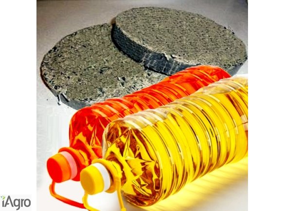  Ukraina. Slonecznik 1,7 zl/kg konfekcyjny od producenta rozm.36, 38~2 zl/kg. Oferujemy luskane, splaszczone nasiona slonecznika spozywczego, cukierniczego. Slonecznik caly, czarny kalibrowany, obluszczony. Smak swiezy, czystosc 99%, bogaty sklad, wyselek