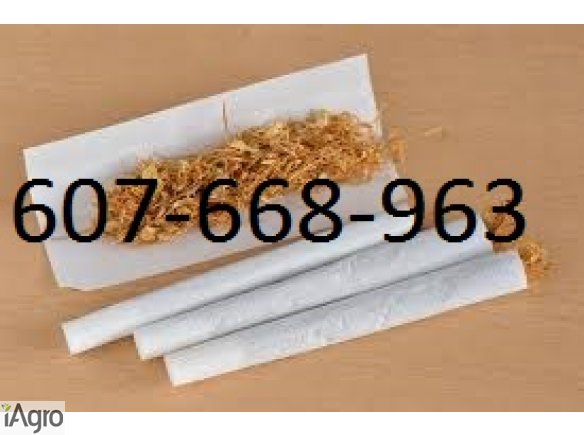 Doskonałej jakości tytoń 70 zł