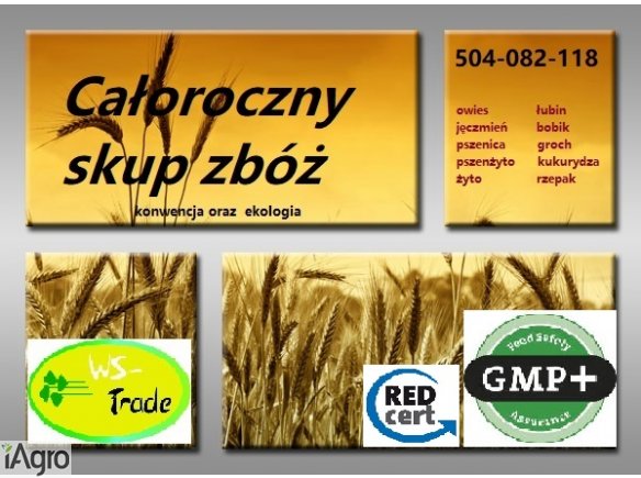 Skup zbóż całoroczny